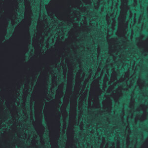 Ch'ahom - Excavation