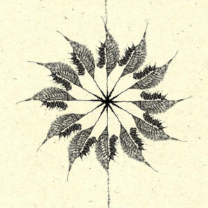 Capitalism Is Just Another Dying Breed - Handklaver Mot Överklassen